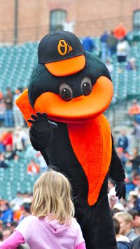 baltimore orioles wallpaper