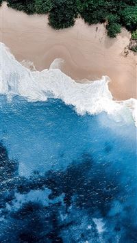 the shape of water wallpaper