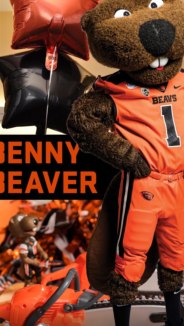 1284x2778 beaver - beaver iPhone Wallpaper