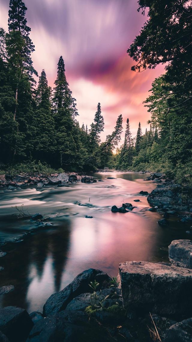 1284x2778 beaver - beaver iPhone Wallpaper