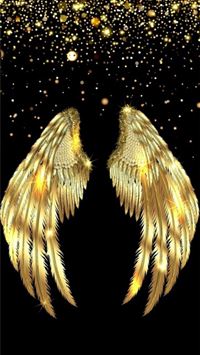 bayer 04 leverkusen wallpaper