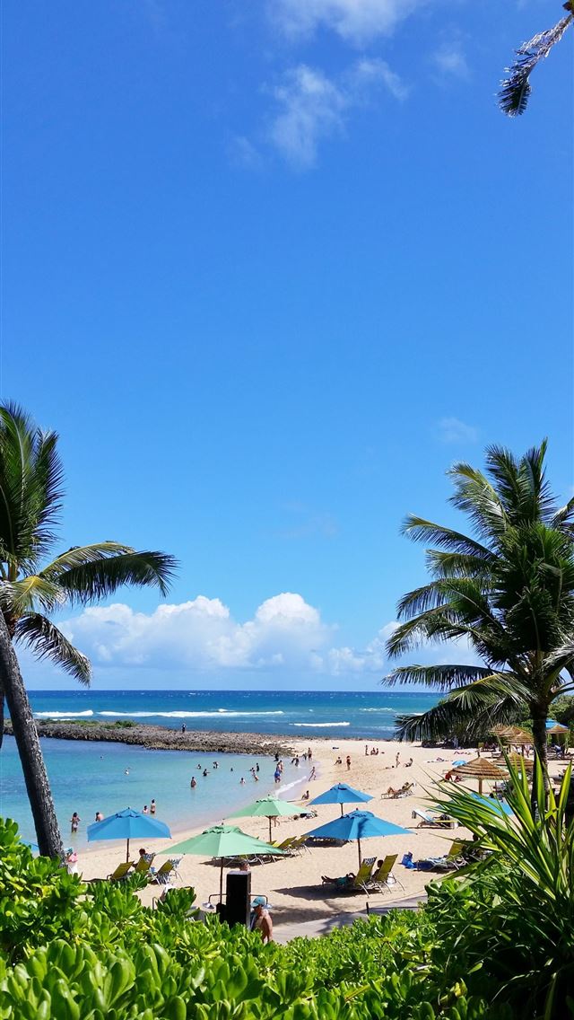 1284x2778 honolulu - honolulu iPhone Wallpaper