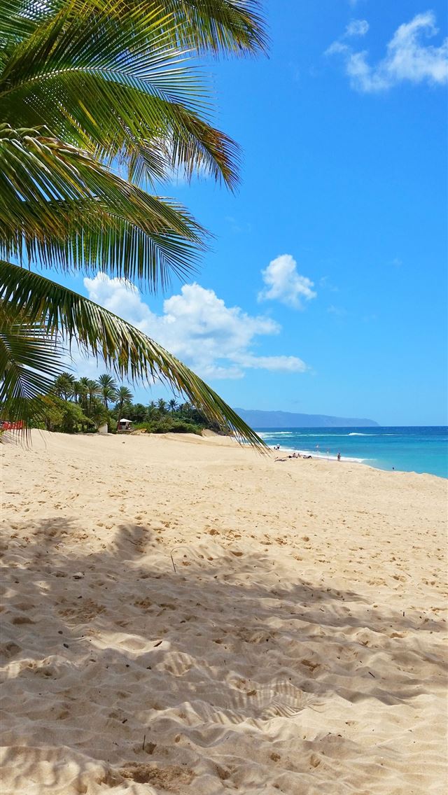 1284x2778 honolulu - honolulu iPhone Wallpaper