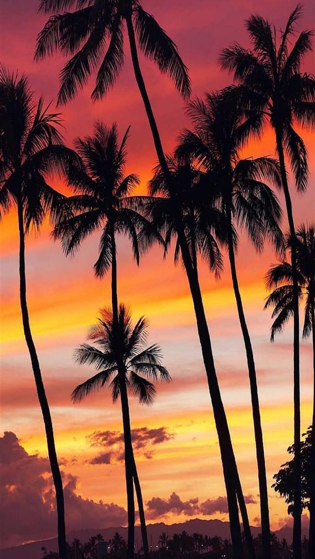 1284x2778 honolulu - honolulu iPhone Wallpaper