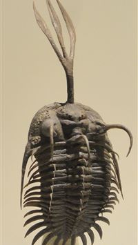 draa valley wallpaper