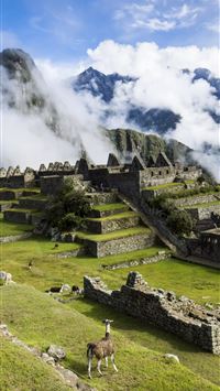 machu picchu wallpaper