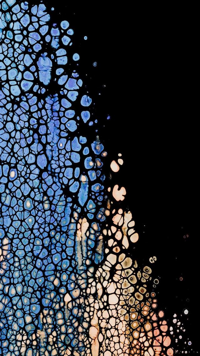 1284x2778 cebu - cebu iPhone Wallpaper