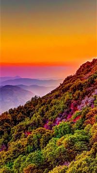 leveon bell wallpaper