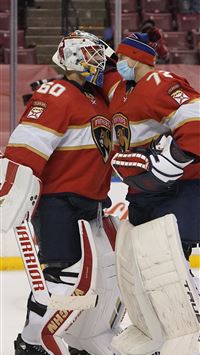 florida panthers wallpaper