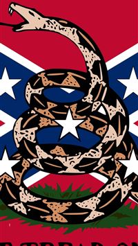 florida panthers wallpaper