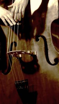 double bass wallpaper
