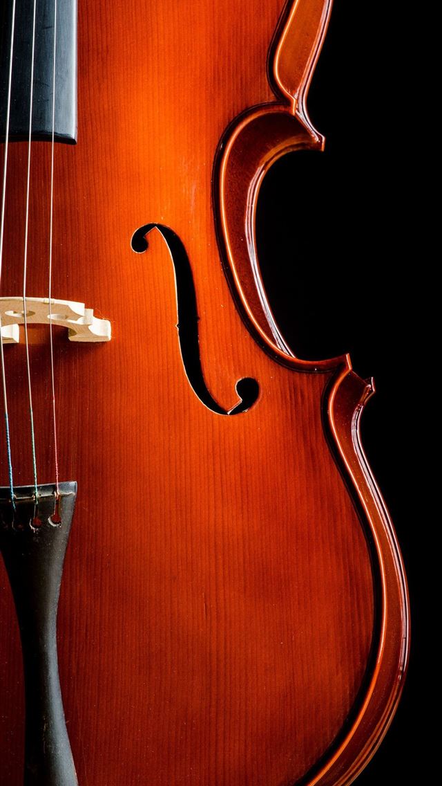 1284x2778 double bass - double bass iPhone Wallpaper