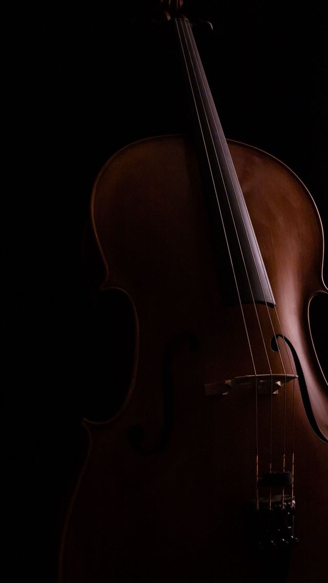 1284x2778 double bass - double bass iPhone Wallpaper