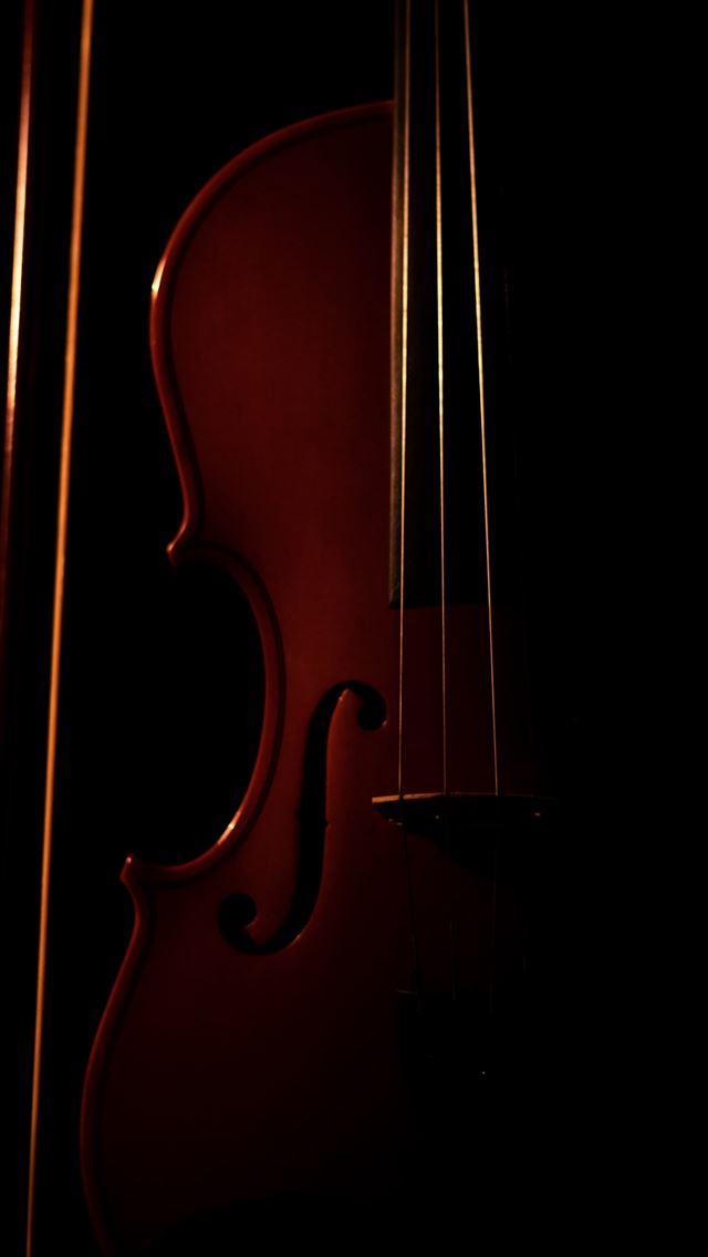 1284x2778 double bass - double bass iPhone Wallpaper