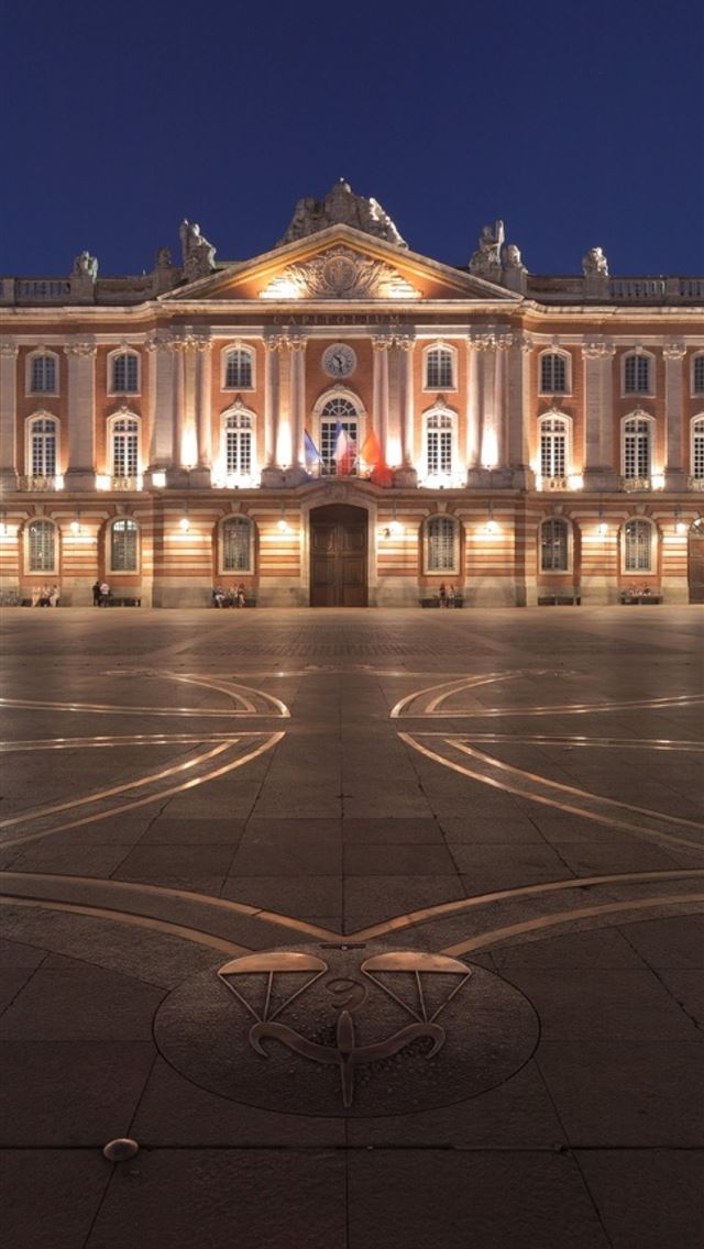 1125x2436 toulouse - toulouse iPhone Wallpaper