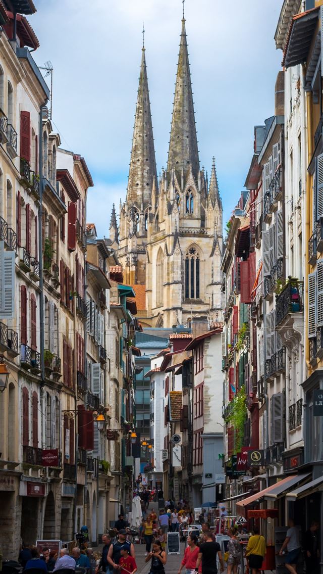 1284x2778 toulouse - toulouse iPhone Wallpaper