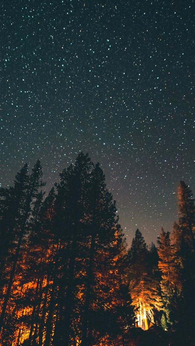 1284x2778 htc desire 19 - htc desire 19 iPhone Wallpaper