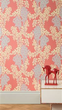 australia day wallpaper