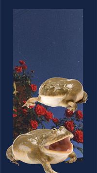 toads iPhone wallpaper