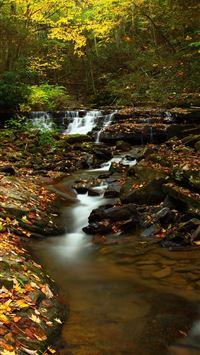 virginia state wallpaper