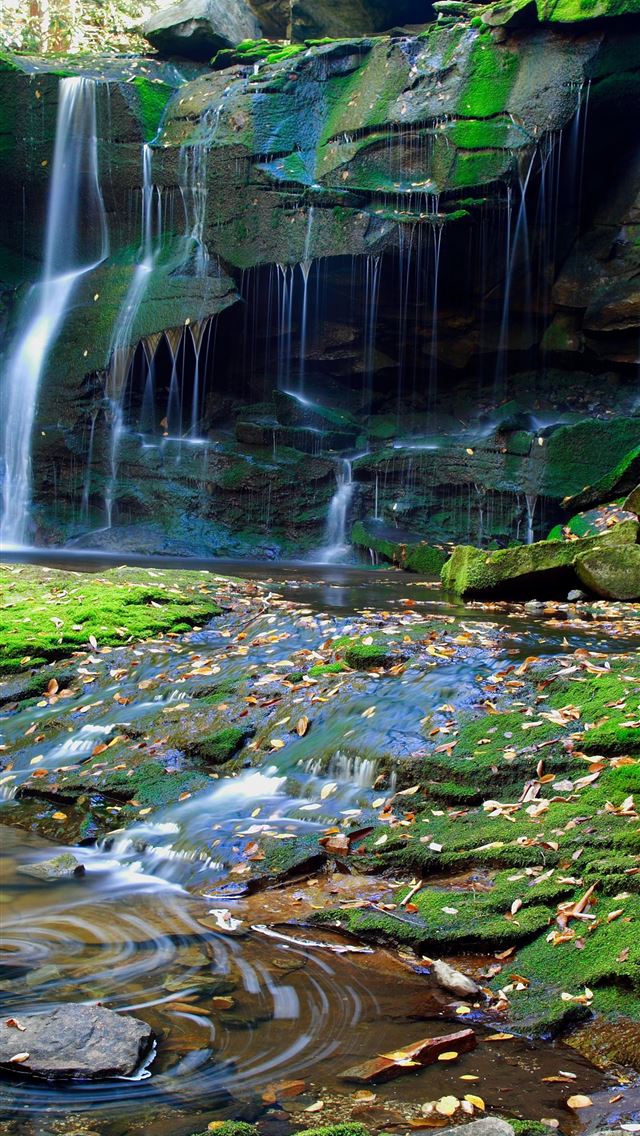 1284x2778 virginia state - virginia state iPhone Wallpaper