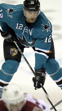 san jose sharks wallpaper