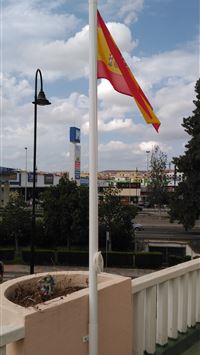 belgium flag wallpaper