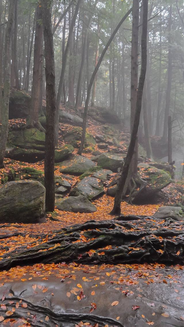 1284x2778 ohio - ohio iPhone Wallpaper
