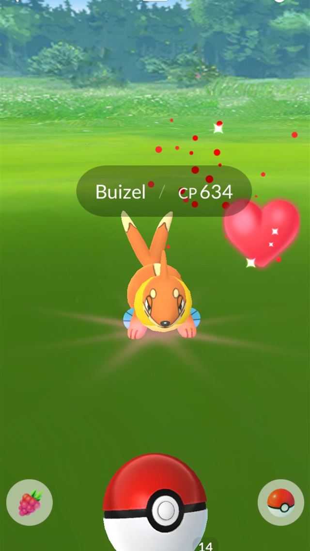1284x2778 buizel hd - buizel hd iPhone Wallpaper