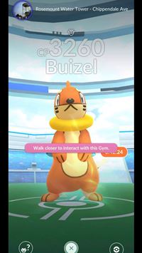 buizel hd wallpaper