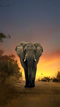 nxai pan national park wallpaper