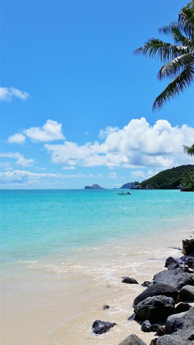 1284x2778 buzios - buzios iPhone Wallpaper