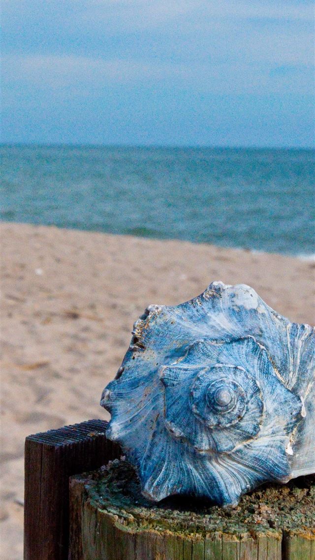 1284x2778 buzios - buzios iPhone Wallpaper