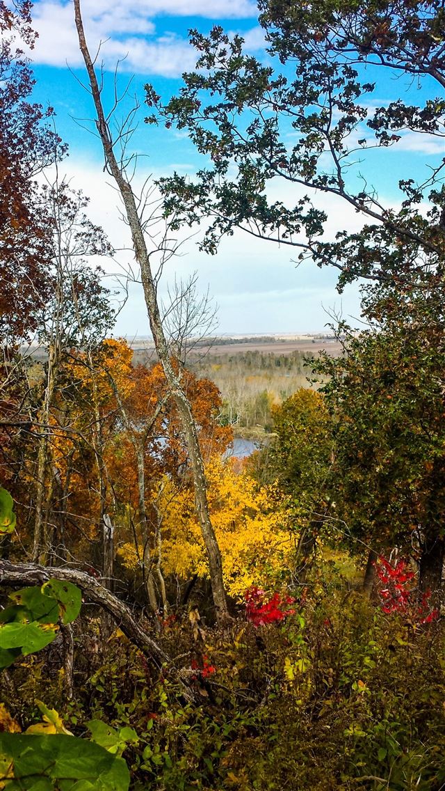 1284x2778 missouri -  iPhone Wallpaper