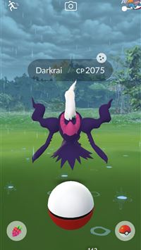 wobbuffet hd wallpaper