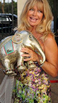 goldie hawn wallpaper