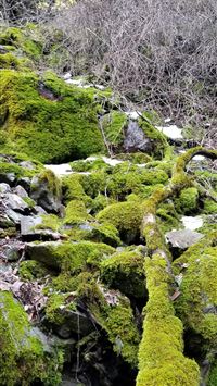 rapscallion fortnite wallpaper