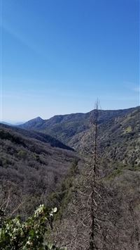 rapscallion fortnite wallpaper