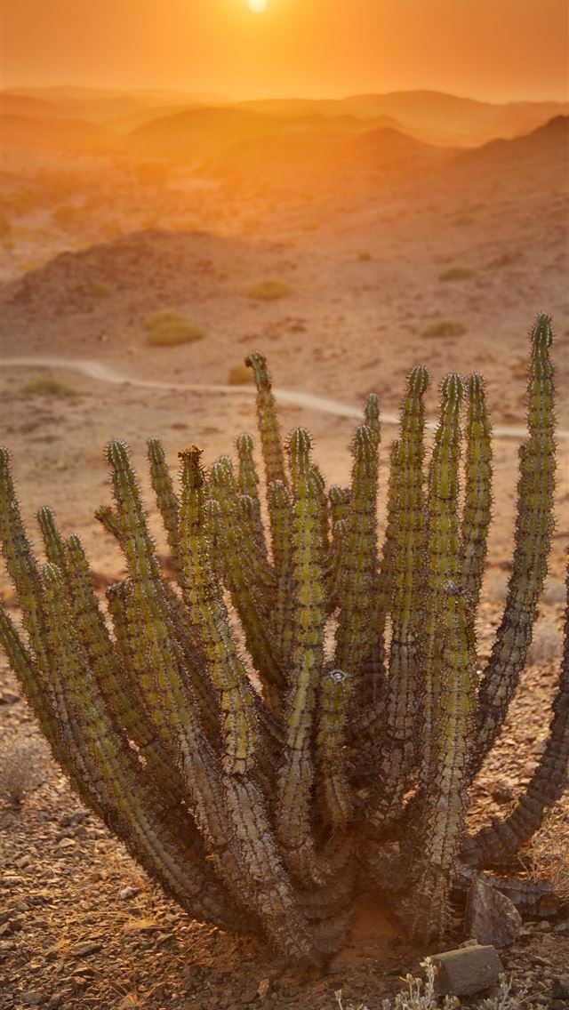 1284x2778 spitzkoppe - spitzkoppe iPhone Wallpaper