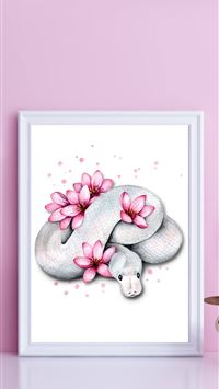 banana ball python wallpaper