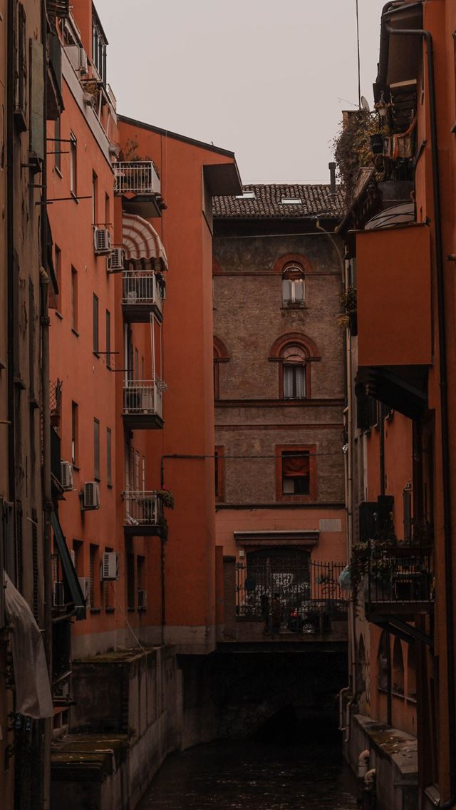 1284x2778 bologna - bologna iPhone Wallpaper