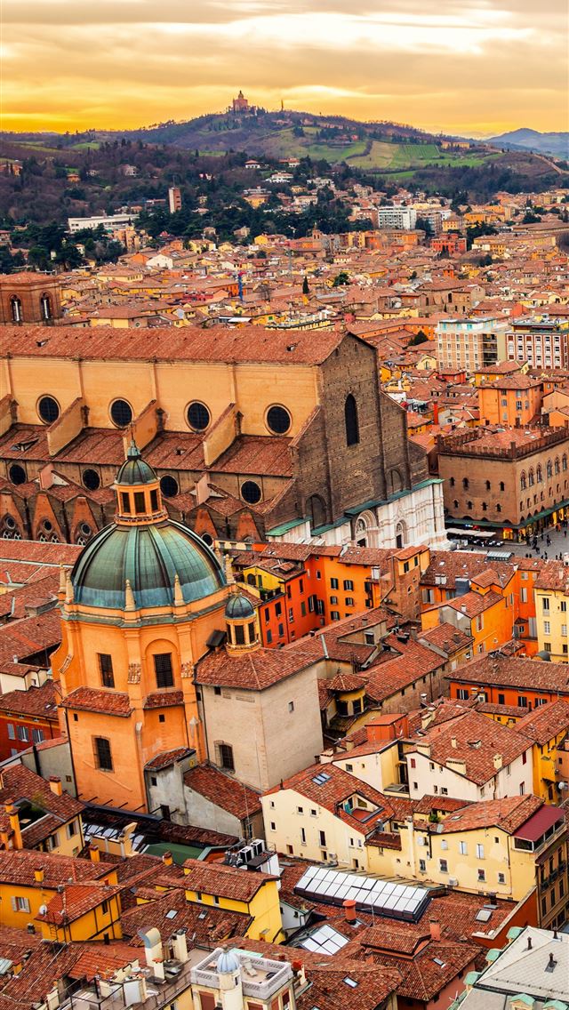 1284x2778 bologna - bologna iPhone Wallpaper