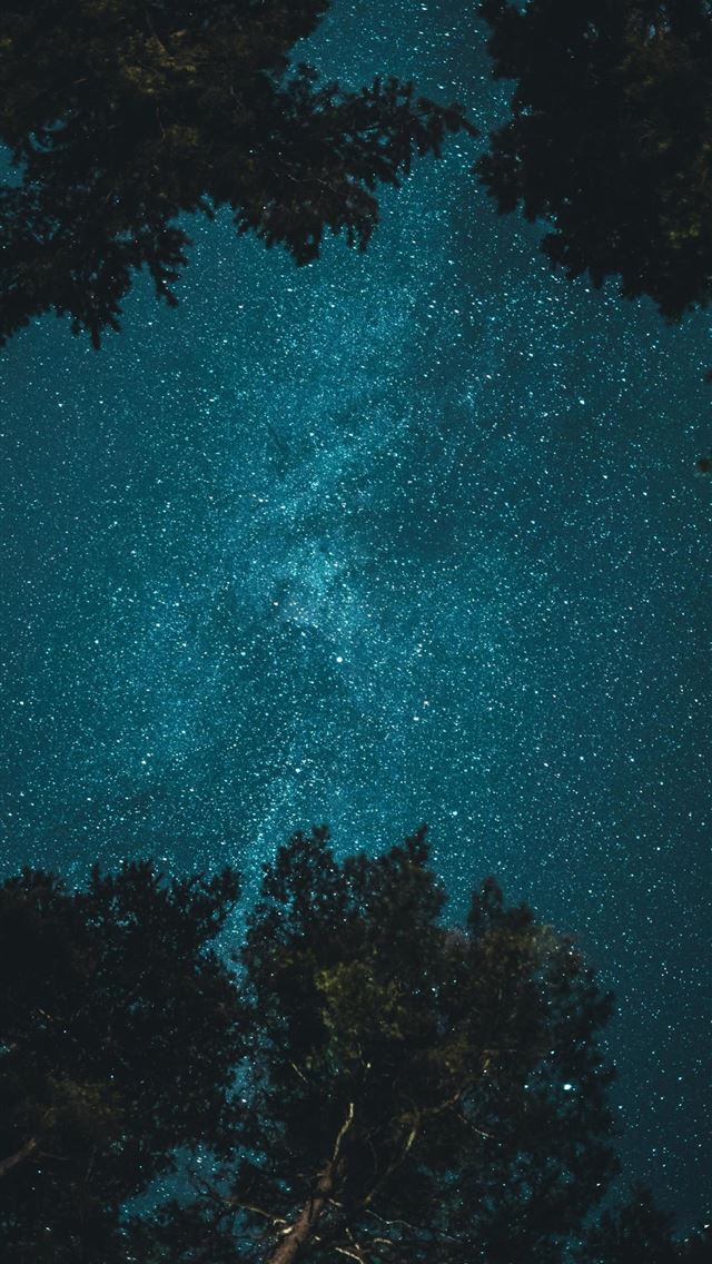 1284x2778 samsung galaxy a60 - samsung galaxy a60 iPhone Wallpaper