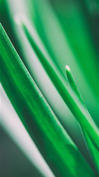 skoda scala wallpaper