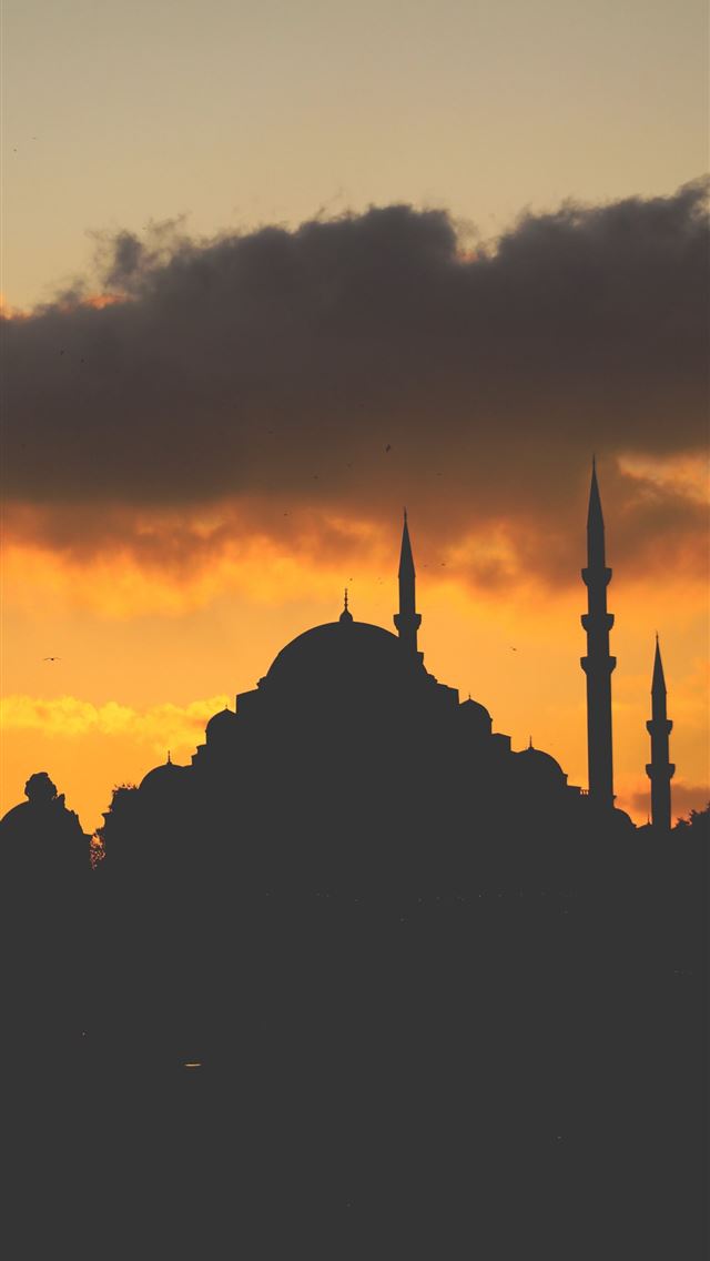 1284x2778 canberra - canberra iPhone Wallpaper