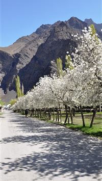 tajikistan wallpaper