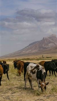 tajikistan wallpaper