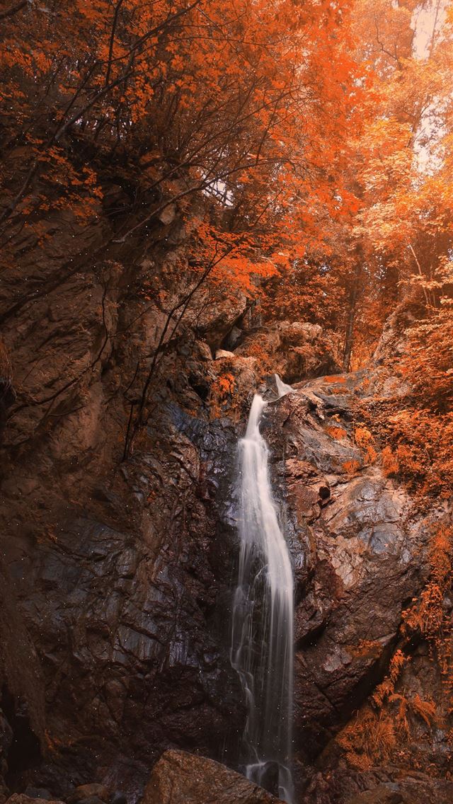1284x2778 san martin de los andes - san martin de los andes iPhone Wallpaper