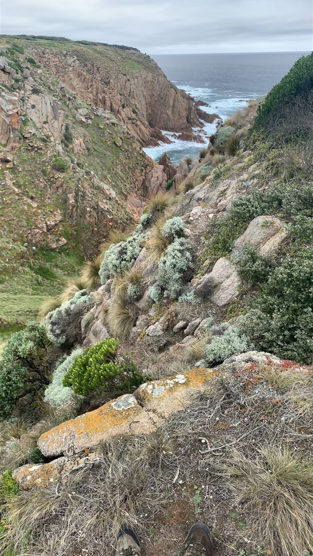 1284x2778 phillip island - phillip island iPhone Wallpaper