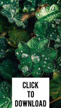 solomon islands wallpaper